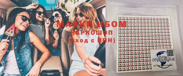 мдпв Осташков