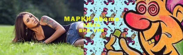 мдпв Осташков